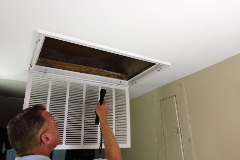 Professional Duct Inspection